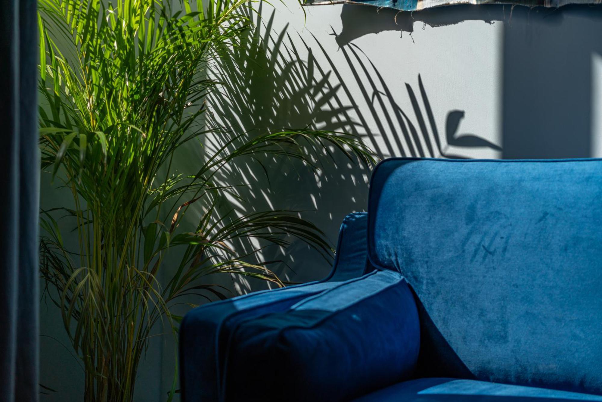 Le Bleu Jean Denim Arenes - Une Nuit A Nimes Exterior foto
